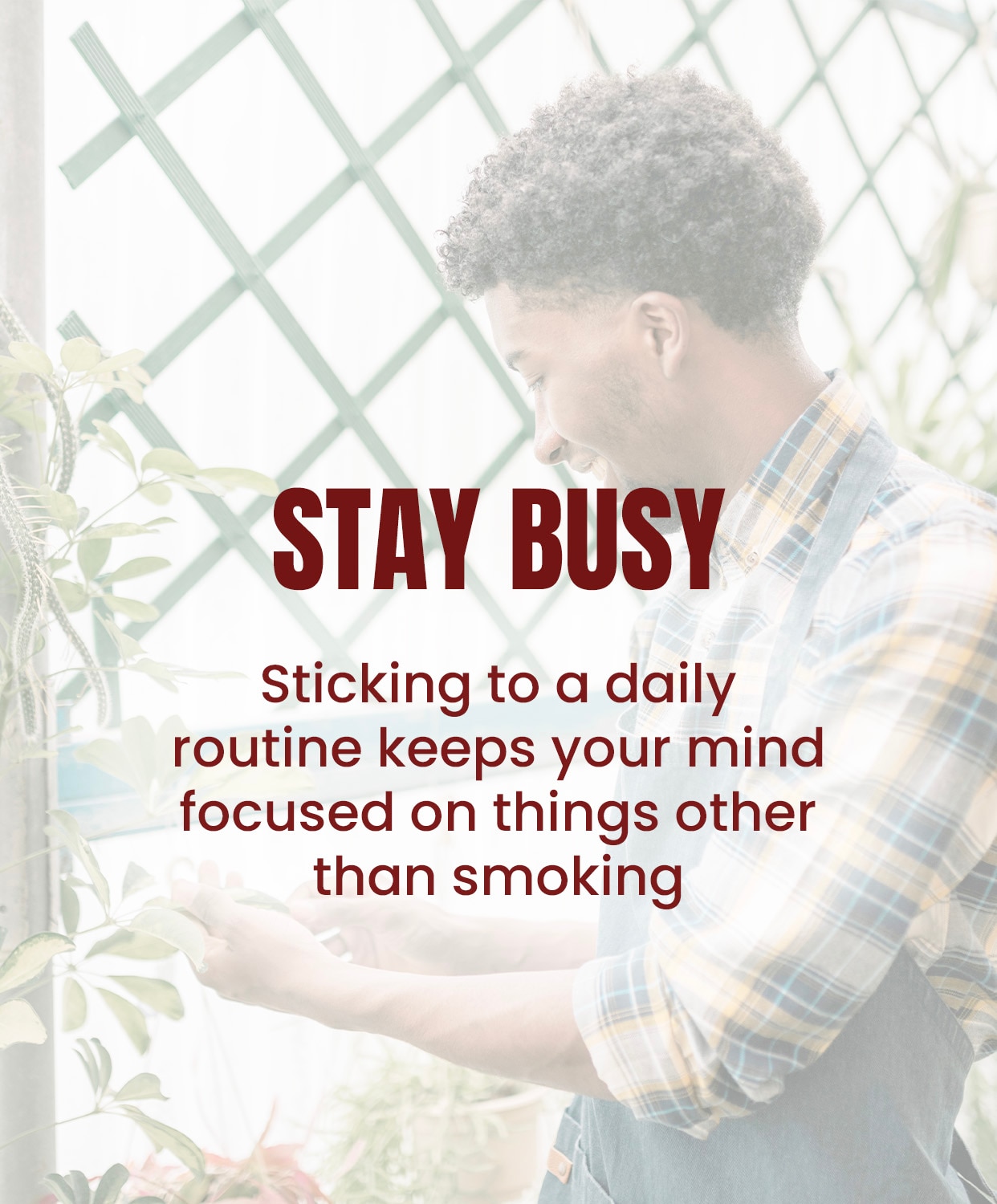Stay busy by watering plants on a schedule to take your mind off smoking.